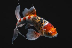 koi poisson isolé noir Contexte. génératif ai photo