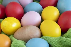 des œufs peint dans différent couleurs à célébrer est photo