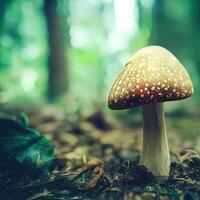 toxique champignon dans le forêt, génératif ai photo
