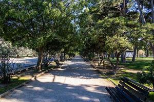 gravier parc ruelle sur une été journée parmi vert des arbres photo