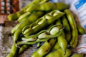 grand vert des haricots collecté dans le jardin sur le du quotidien journal photo