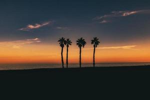 bord de mer paysage paix et silencieux le coucher du soleil et quatre paume des arbres sur le plage photo