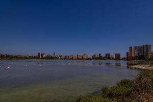 l oiseau blanc-rose flamant sur une salé bleu Lac dans Espagne dans calpe Urbain paysage photo