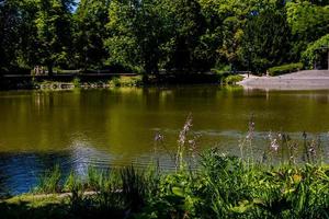 été paysage avec une étang Saski jardin Varsovie Pologne vert des arbres chaud journée photo