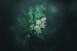 l blanc fleur de une buisson fermer contre une Contexte de vert feuilles dans ensoleillement printemps journée dans le parc photo