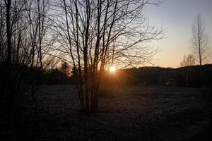le coucher du soleil derrière ligne de des arbres dans une parc photo