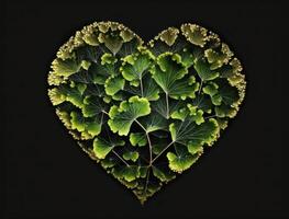 vert cœur fabriqué par ginkgo biloba feuilles environnement protection concept établi avec génératif ai La technologie photo