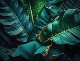 abstrait vert tropical banane et monstera feuilles Contexte établi avec génératif ai La technologie photo