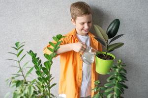 une mignonne garçon dans une chemise est en train d'étudier intérieur vert végétaux, soins pour fleurs. arrosage une ficus dans une pot photo