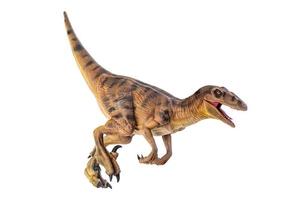 dinosaure , velociraptor isolé Contexte photo