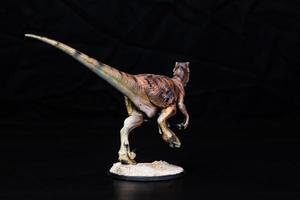 le velociraptor dinosaure dans le foncé photo