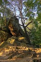 diable pierre dans une forêt dans le montagnes de pogorzyce dans Pologne sur une été journée photo