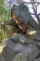 diable pierre dans une forêt dans le montagnes de pogorzyce dans Pologne sur une été journée photo