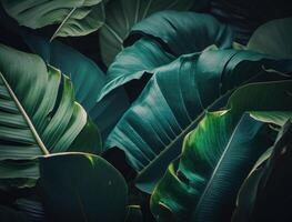 abstrait vert tropical banane et monstera feuilles Contexte établi avec génératif ai La technologie photo