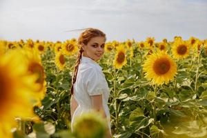 femme avec deux nattes à la recherche dans le tournesol champ inchangé photo