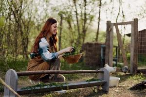 Jeune magnifique femme oiseau ferme ouvrier souriant et content alimentation poulets à le alimentation creux en plein air séance sur le vert herbe photo