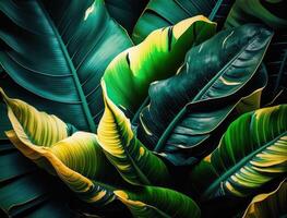 abstrait vert tropical banane et monstera feuilles Contexte établi avec génératif ai La technologie photo