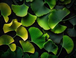 ginkgo biloba vert feuilles Contexte établi avec génératif ai La technologie photo