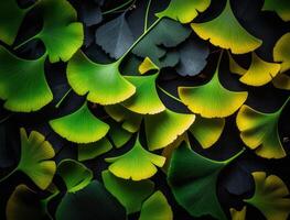 ginkgo biloba vert feuilles Contexte établi avec génératif ai La technologie photo