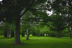 été paysage dans le parc sur une chaud nuageux journée photo