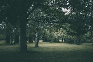 été paysage dans le parc sur une chaud nuageux journée photo