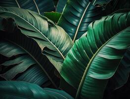 abstrait vert tropical banane et monstera feuilles Contexte établi avec génératif ai La technologie photo