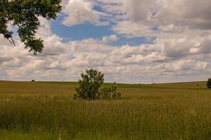 agricole paysage dans Pologne sur une été journée photo