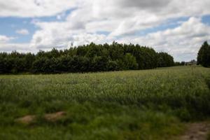 agricole paysage dans Pologne sur une été journée photo