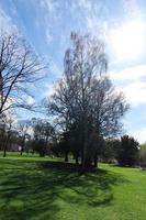 faible angle vue de arbre et branches à local parc photo