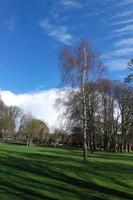 faible angle vue de local Publique parc et magnifique des arbres une clair et du froid journée de 22-mars-2023 à luton ville de Angleterre Royaume-Uni. photo