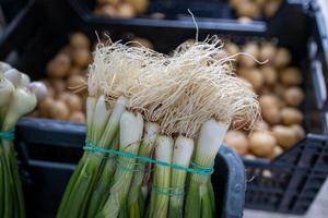 oignon printemps sur le marché stalle photo