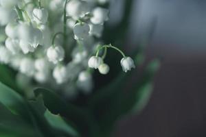 lis de le vallée bouquet avec sur une Contexte de vert feuilles photo