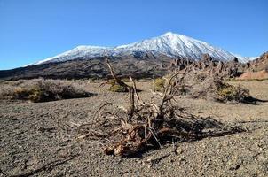 paysage de montagne pittoresque photo