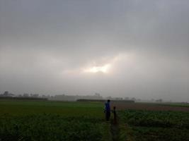 magnifique paysage de lever du soleil moment dans une légume champ dans Bangladesh, Asie photo