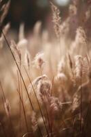 Naturel Contexte avec sec herbe. illustration ai génératif photo