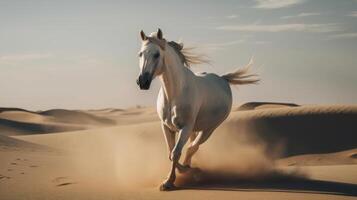 magnifique blanc cheval dans désert. illustration ai génératif photo