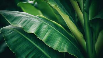 tropical paume feuilles Contexte. illustration ai génératif photo