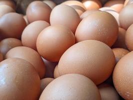 une proche en haut de tas de poulet des œufs. pour Contexte ou fond d'écran photo