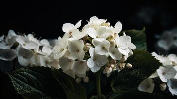 hortensia fleur Contexte. illustration ai génératif photo