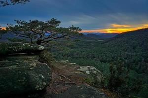 point de vue dans le forêt pendant le coucher du soleil photo