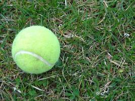 tennis Balle herbe photo