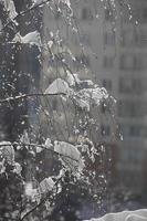 hiver paysage urbain, vue de le fenêtre sur le couvert de neige arbre branches photo