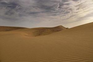 été désert paysage sur une chaud ensoleillé journée de maspalomas dunes sur le Espagnol île de gran Canaria photo