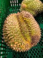 proche en haut vue de durian comestible riches la chair fruit, photo