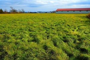 paysage de herbe champ avec ferme Contexte dans le l'automne. photo
