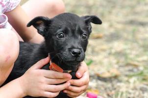 enfant tenant un chiot noir photo