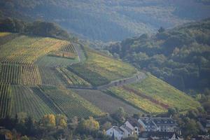 coloré vignobles dans inférieur ah vallée photo