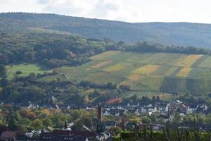 coloré vignobles dans inférieur ah vallée, mal neuenahr photo