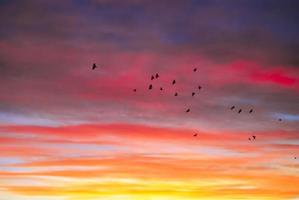 réel incroyable panoramique lever du soleil ou le coucher du soleil ciel avec doux coloré des nuages. longue panorama, surgir il photo