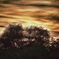 Orange le coucher du soleil paysage avec des nuages et des arbres photo